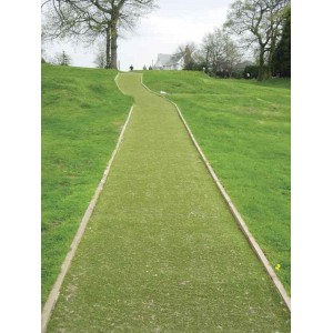 Pathway Turf 4M Width