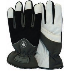 Freezemaster II Gloves